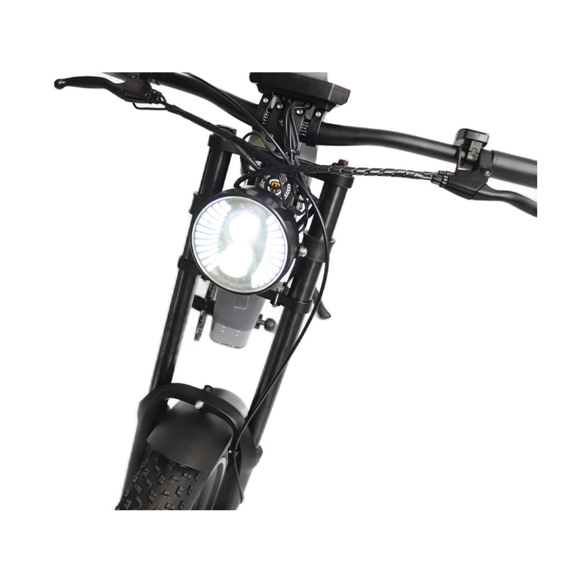 20inch New Design iVelo M20F Electric Bike Dual Disc Brake with Swappable Battery
