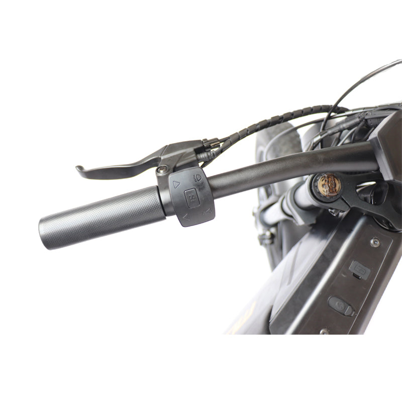 20inch New Design iVelo M20F Electric Bike Dual Disc Brake with Swappable Battery